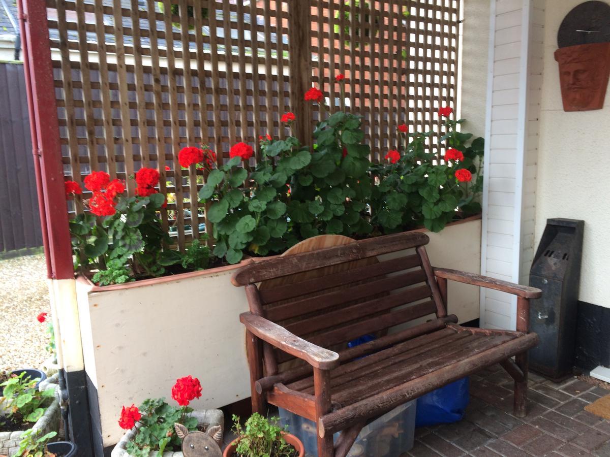 Southcombe Guesthouse 锡德茅斯 外观 照片